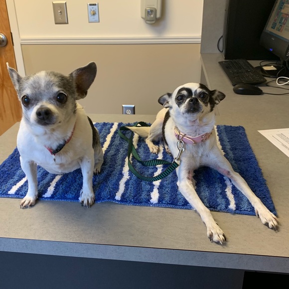 Meet your Posher, Kathy - Picture 7 of 8